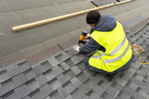 Best Roof Gutter Cleaning  in Fort Carson, CO